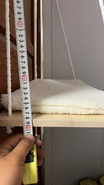 Balançoire pour chat à mettre à a fenêtre