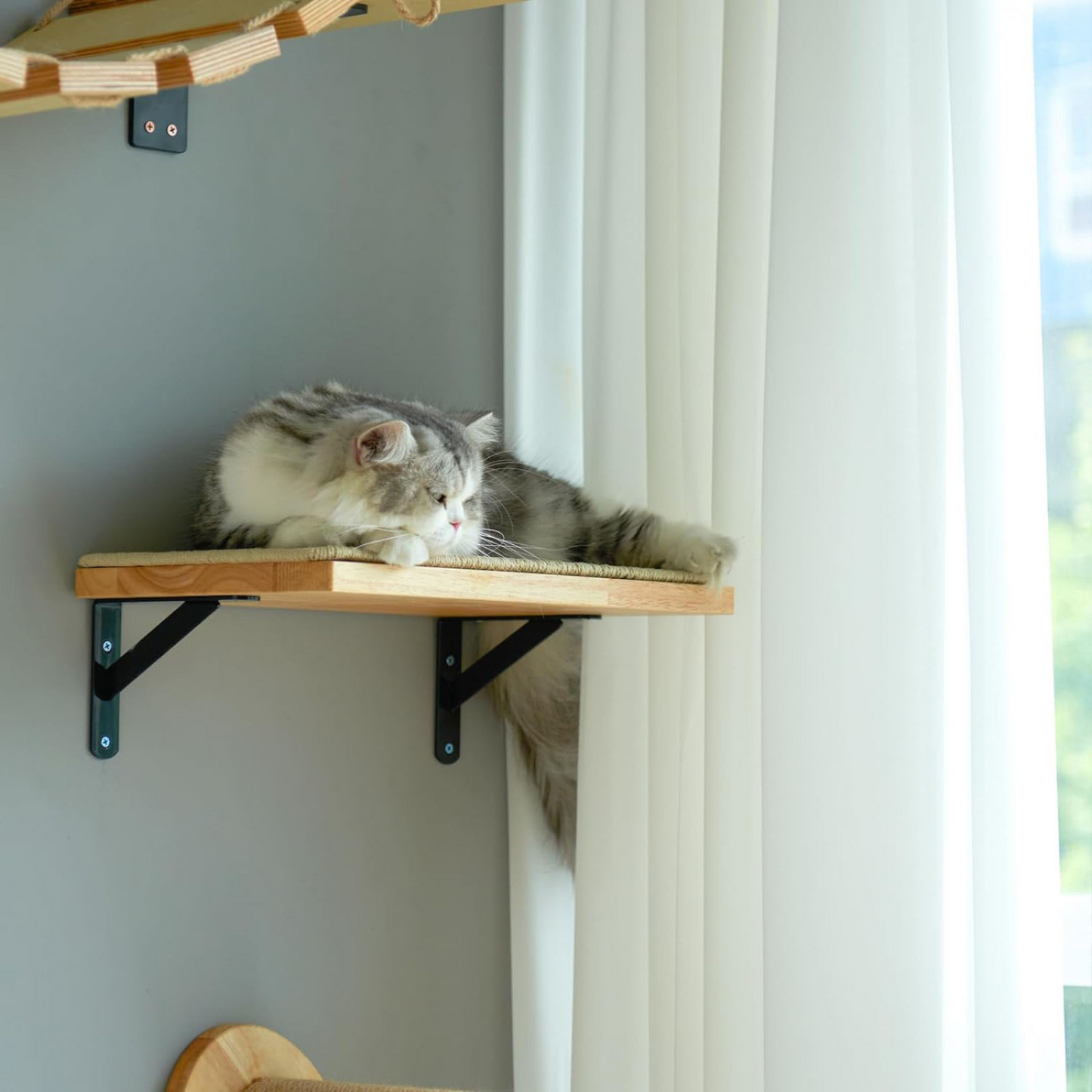 Bubble Cat - Étagère Murale avec Griffoir en Jute – Perchoir Suspendu pour Chats